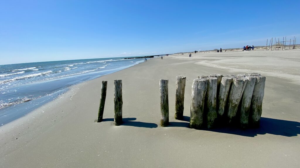 La spiaggia dell'isola dei gabbiani di fronte al mare Adriatico